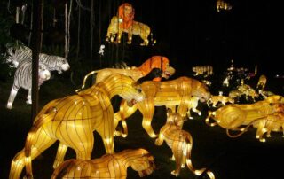 Stunning Chinese Lanterns